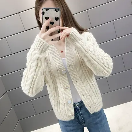 秋季2023年新款初秋款时尚洋气开衫毛衣女爆款女士短款针织外套女图片