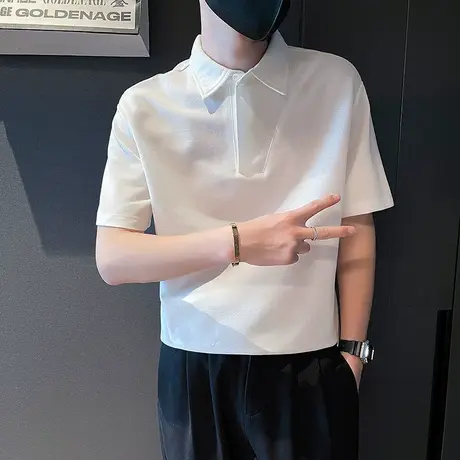高级感白色短袖翻领T恤POLO衫2023新款男装上衣夏季T恤纯色体恤帅商品大图
