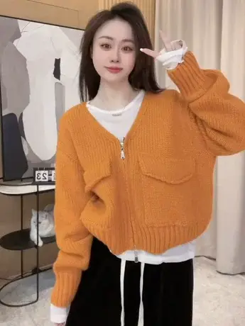韩系设计感V领针织开衫毛衣外套女秋冬新款宽松百搭短款长袖上衣图片