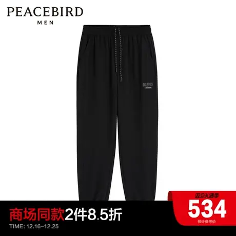【商场同款】太平鸟男装 2023年冬季新款运动长裤卫裤男B2GMD4140商品大图