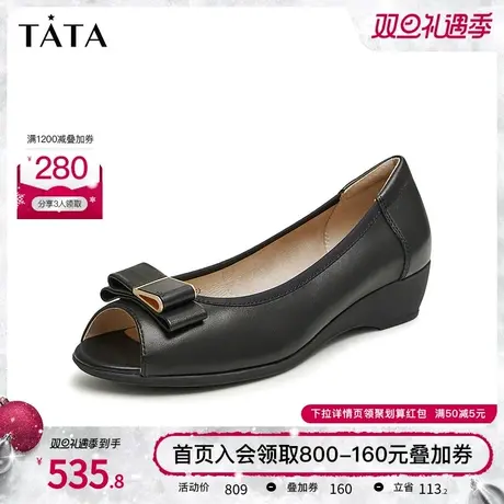 Tata他她气质鱼嘴单鞋女时尚通勤浅口坡跟鞋2024春季新款7YN01AU4商品大图