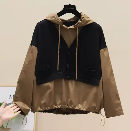 假两件棕色连帽卫衣女时尚洋气薄款长袖上衣早秋装2023新款欧洲站商品大图
