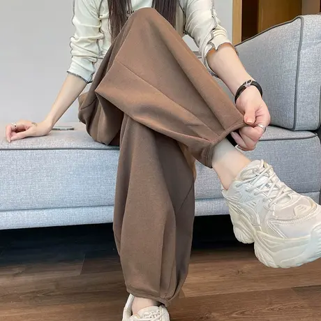 休闲运动哈伦裤女秋季新款高腰宽松褶纹显瘦直筒百搭阔腿束脚卫裤商品大图