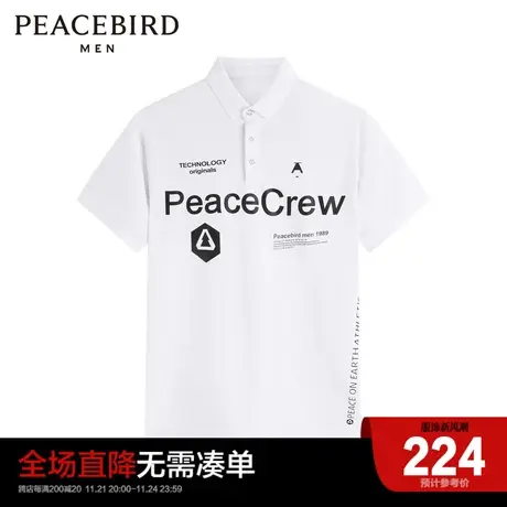 太平鸟男装 Polo衫BDBC2G10商品大图