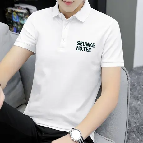 珠地棉polo衫翻领短袖t恤男潮牌保罗夏季上衣服冰丝凉感有领半袖图片