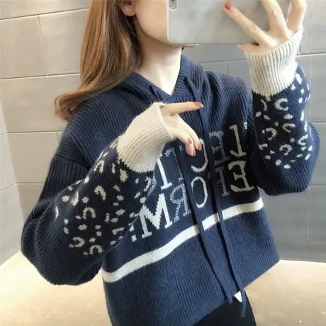 连帽套头休闲简约针织卫衣字母百搭针织衫2023加厚洋气甜美长袖女商品大图