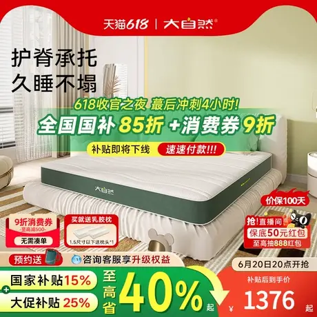 【热销】大自然品牌全棕绷透气山棕榈护脊腰椎成人床垫商品大图