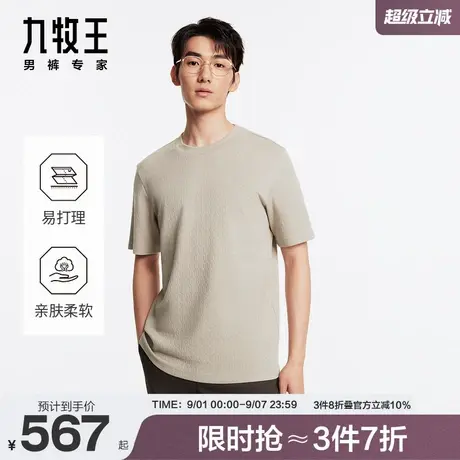 [商场同款]九牧王男装2024春夏新款短袖T恤商务休闲亲肤时尚上衣商品大图