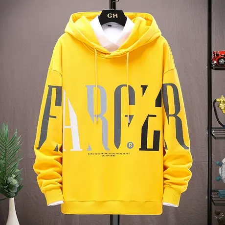 青少年连帽卫衣男春秋季2023新款宽松潮流加绒加厚秋冬装上衣外套商品大图