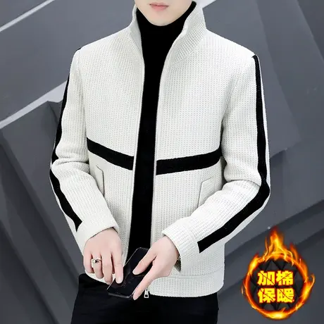 立领潮牌英伦短款毛呢外套男士加棉加厚呢子大衣休闲男装夹克上衣商品大图