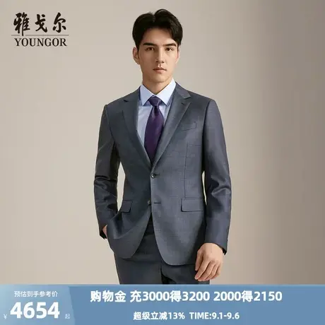 【商场同款】雅戈尔男士西服秋冬新款官方商务休闲西装外套男图片