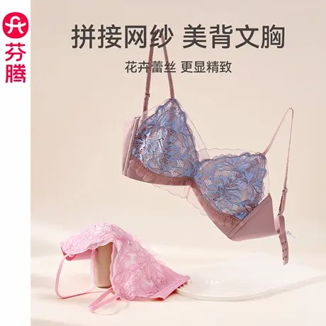 芬腾女士内衣性感蕾丝网纱无钢圈美背文胸大胸显小上托防下垂胸罩商品大图