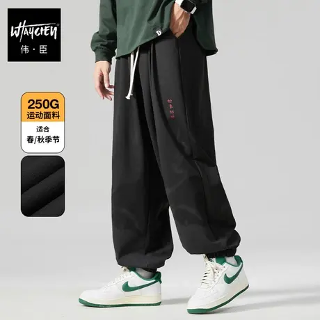 伟臣潮牌大码男装秋冬新品男式休闲长裤胖子加肥加大宽松小脚裤男商品大图