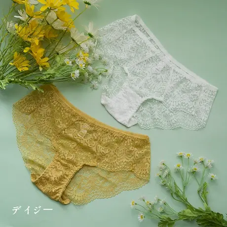 少女美屋日系性感蕾丝透明三角裤低腰透气半透视女士内裤底裤XL商品大图