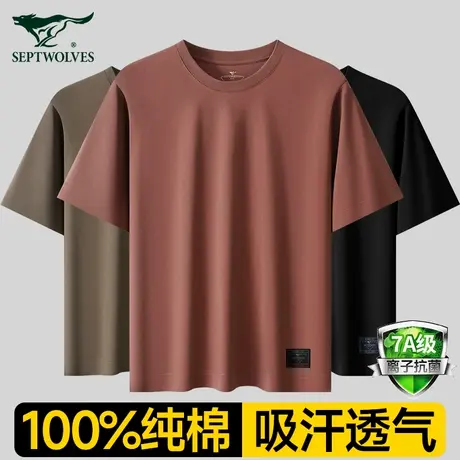 七匹狼短袖t恤男夏季新款青少年运动透气打底衫宽松纯棉圆领上衣商品大图