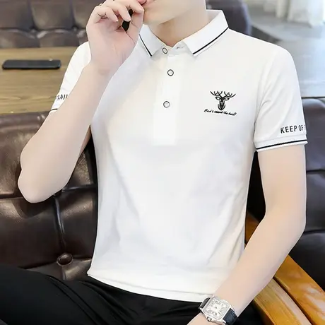 夏季男士polo衫潮流休闲翻领短袖t恤纯棉纯色简约刺绣半袖打底衫T图片
