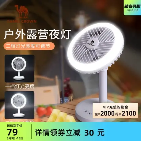 户外露营小风扇帐篷灯便携充电静音LED灯悬挂营地灯学生宿舍照明商品大图