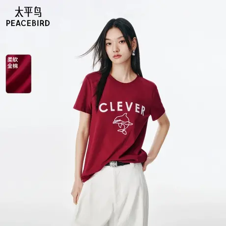 【商场同款】太平鸟女装2025年夏季新款高街短袖T恤A3CNF2643商品大图