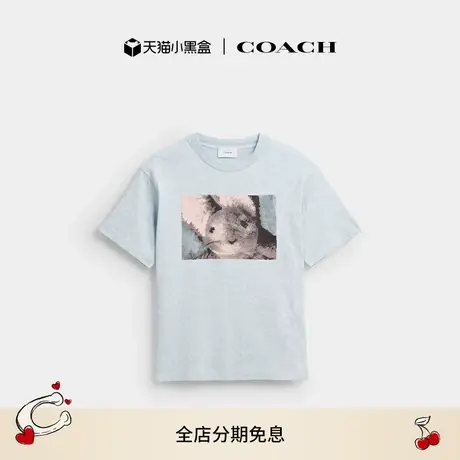 【新品】COACH/蔻驰男女同款小兔图案休闲老花T恤短袖上衣舒适商品大图