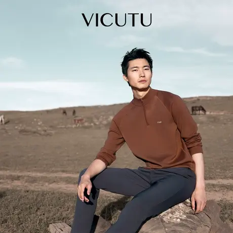 VICUTU威可多男士长袖针织衫新款舒暖羊毛羊绒商务休闲百搭毛衣图片