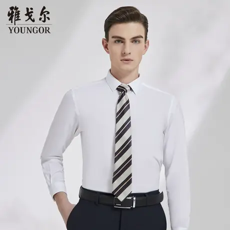 雅戈尔奥莱 男装商务休闲衬衣DP免烫中青年上班长袖衬衫商品大图