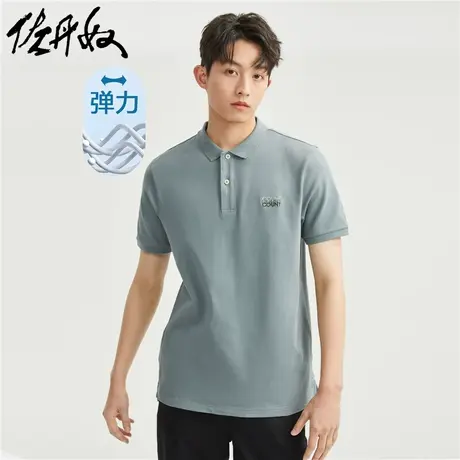 佐丹奴Polo男装多色渐变字母刺绣弹力珠地布短袖POLO 01013393商品大图