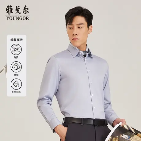 【DP免烫】D系雅戈尔衬衫秋季新款易打理商务休闲长绒棉长袖衬衫商品大图