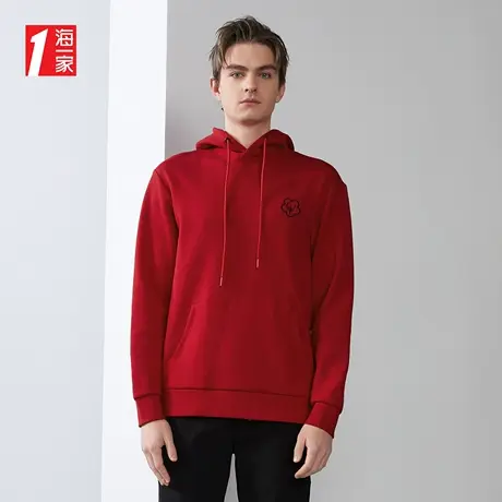 海一家休闲连帽套头衫新款动物绣花时尚男士卫衣商品大图