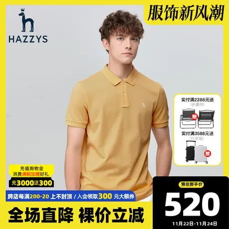 Hazzys哈吉斯春夏新款男士宽松短袖T恤韩版商务休闲翻领polo衫潮图片