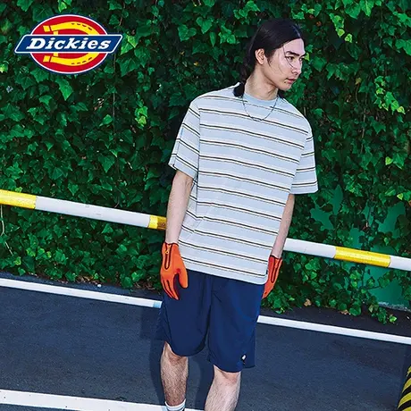 Dickies 春夏工装 休闲条纹短袖T恤上装内搭图片