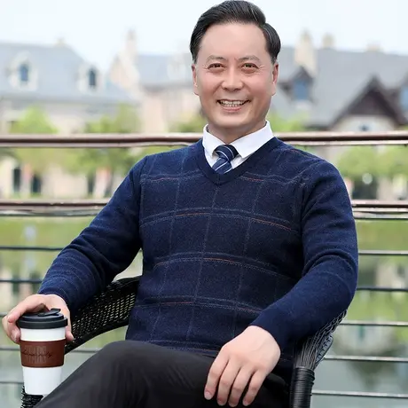男士毛衣春秋季内搭加厚款V领中年针织打底纯羊毛衫老人格子冬装商品大图