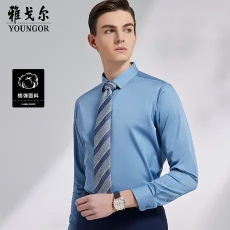 雅戈尔奥莱 男装秋季商务休闲棉弹长袖衬衫男易打理商务免烫图片