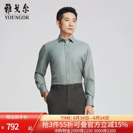 【商场同款】雅戈尔男士长袖衬衫春秋新款官方商务休闲长袖衬衫男商品大图