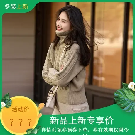 时尚气质毛衣2023年冬季新款女高领套头百搭套头加厚款针织上衣商品大图
