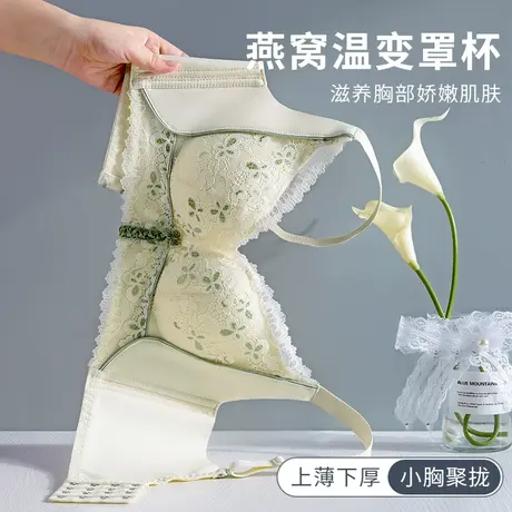浪莎内衣女调整型上托显大防下垂无钢圈收副乳小胸聚拢性感文胸罩图片
