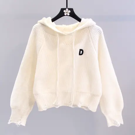 字母刺绣连帽毛衣女秋冬2023新款宽松学院风外穿洋气短款针织上衣图片