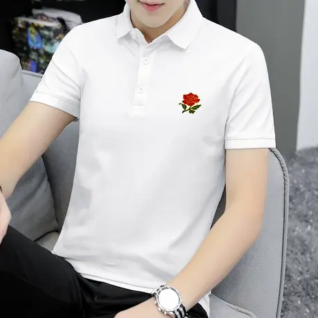 翻领t恤男士短袖polo衫夏季保罗冰丝凉感白色上衣服潮流半袖体恤商品大图