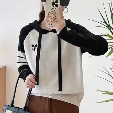 拼色套头针织衫连帽毛衣女士春装2024新款外穿爆款设计感小众上衣商品大图