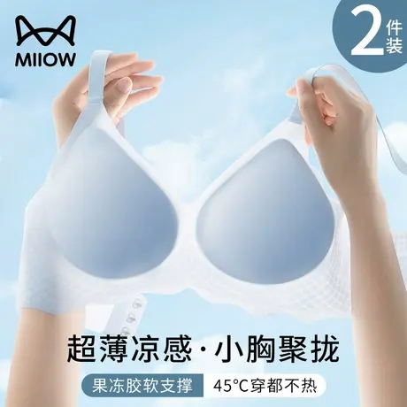 猫人薄款内衣女小胸聚拢收副乳提拉上托凉感透气无痕裸感文胸夏季商品大图