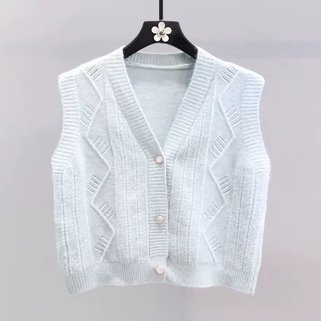 日系V领针织马甲女2023年秋装新款学院风设计感无袖坎肩背心外套图片