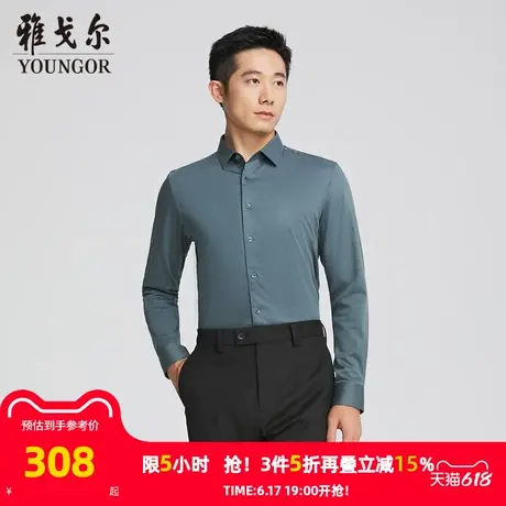 【商场同款】雅戈尔男士长袖衬衫春秋新款官方商务休闲长袖衬衫男图片