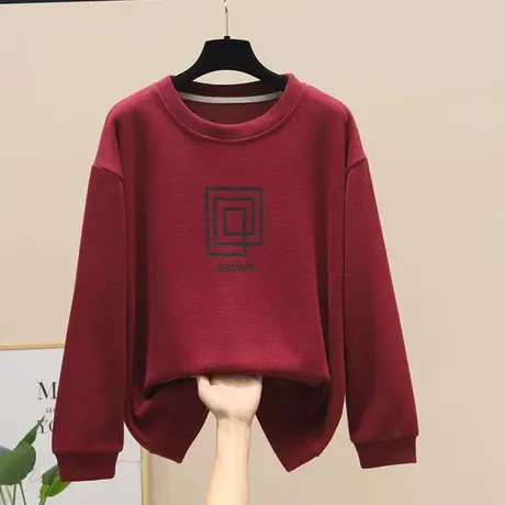 2023年春秋季新款设计感小众卫衣女士常规春装小个子爆款时尚上衣商品大图