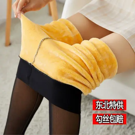 东北加绒加厚网纱假透肉打底裤防勾丝女冬季加厚保暖裤特厚大棉裤商品大图