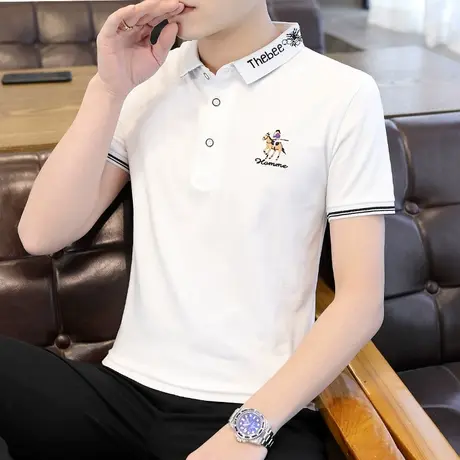 短袖t恤男士夏季薄款潮牌新款纯棉休闲宽松冰丝半袖体恤Polo衫男商品大图