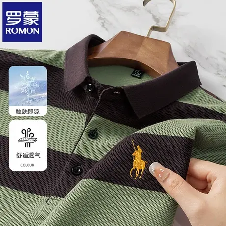 罗蒙高端男士条纹POLO衫短袖T恤夏季薄款时尚刺绣休闲翻领体恤N2Z图片