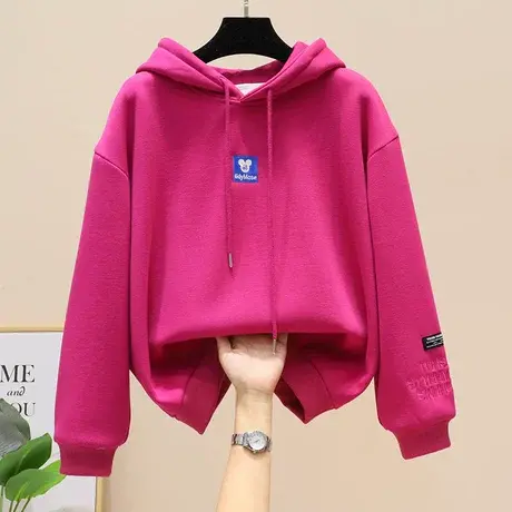 秋冬季连帽卫衣女加绒2023年新款加厚百搭刺绣上衣显瘦小个子外套商品大图