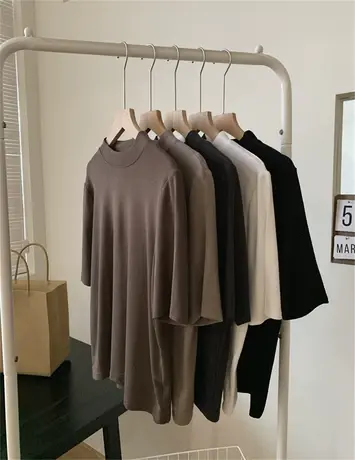 高级感棕色系立领打底衫女基础款宽松百搭气质半袖T恤衫秋冬内搭商品大图