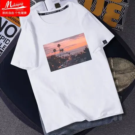 短袖t恤男2022年新款宽松印花薄款港风潮流ins纯棉圆领上衣服夏季图片