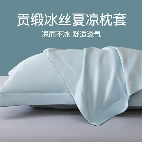 雅鹿夏季枕头套冰丝枕套一对装2025新款48cmx74cm单人整头套一只商品大图
