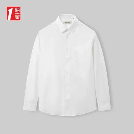 海一家商务正装长衬2023秋季新款职业上班面试中年男士长袖衬衫商品大图